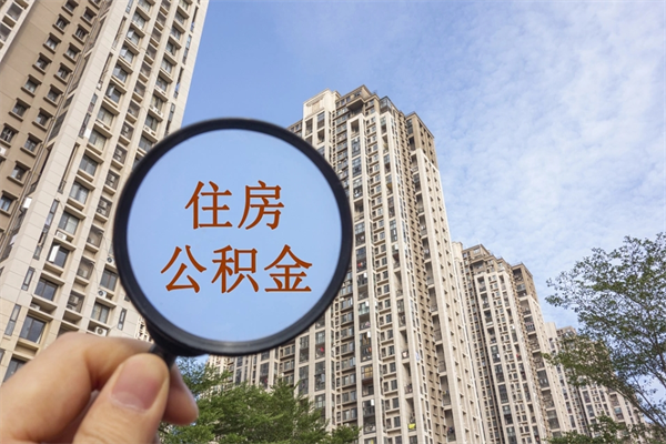 苍南app怎么取公积金（app怎么取住房公积金）